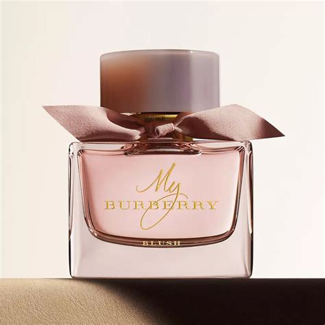 new burberry scent|Burberry scent for women.